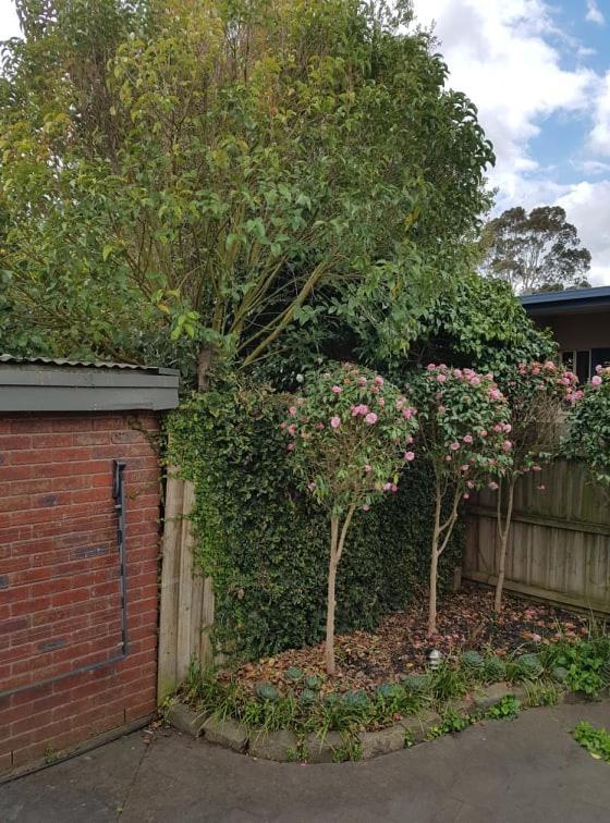 Creek Cottage Bed And Breakfast Traralgon Buitenkant foto